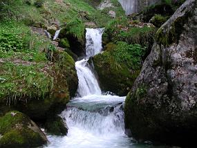 DSCN3521