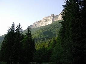 DSCN3526