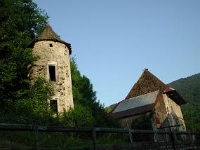 DSCN3529