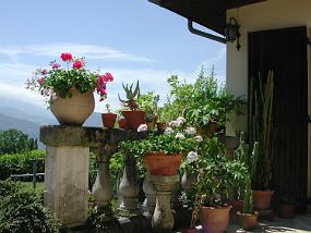 DSCN3730