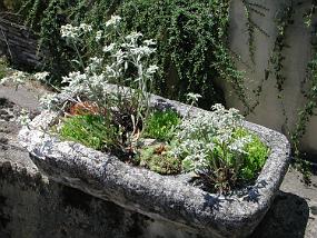 DSCN3752