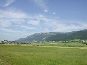 DSCN3766