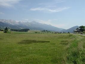 DSCN3767