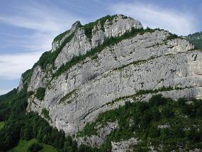 DSCN3772