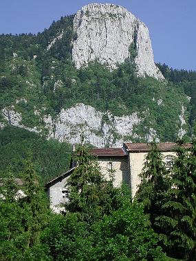 DSCN3788