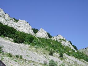 DSCN3797