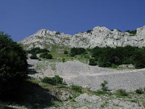 DSCN3803