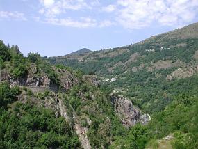 DSCN4474