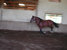 DSCN4867