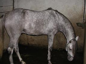DSCN5001