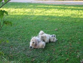 pics000012