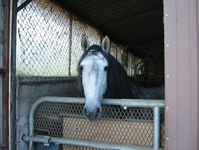 pics000017