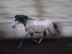 pics000038