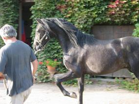 pics000059