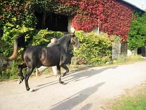 pics000061