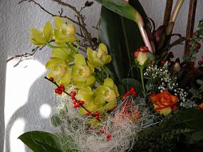 DSCN5953
