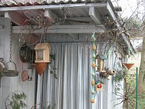 DSCN6046