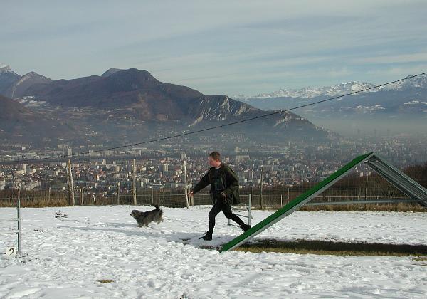Agility dans la neige (Sunday, 20. January 2002) Gini s'entraine même quand il y a la neige.