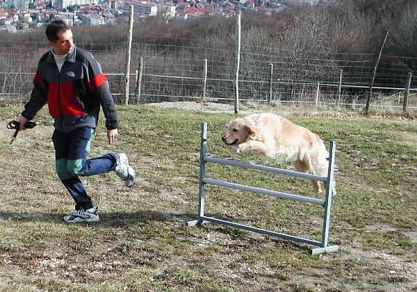 Agility (Sunday, 10. February 2002) Noch ein paar Photos vom sontäglichen Agility Training mit Gini