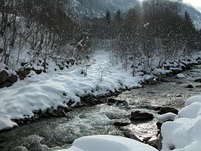 DSCN0043