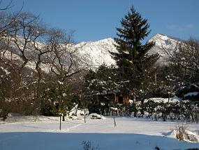 DSCN0008