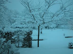 DSCN0020
