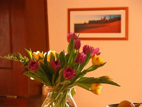 DSCN0016