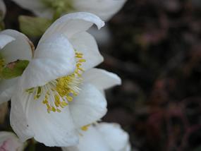 DSCN0034