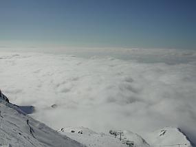 DSCN6546