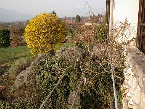 DSCN0019