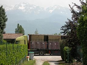 DSCN6981