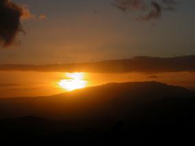 DSCN7793