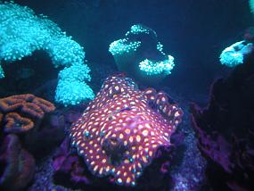 DSCN8250