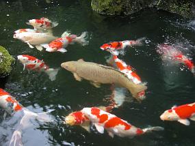 DSCN8428