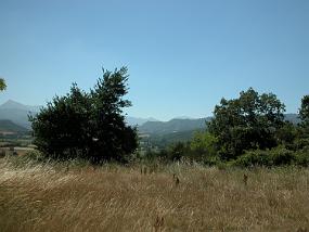 DSCN8676