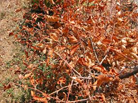 DSCN9190
