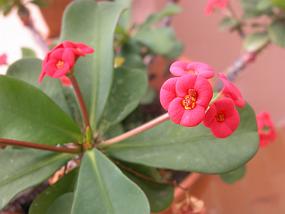 DSCN0199