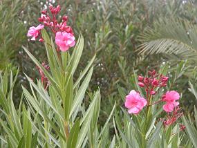 DSCN0202