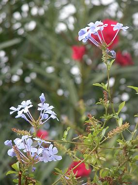 DSCN0204