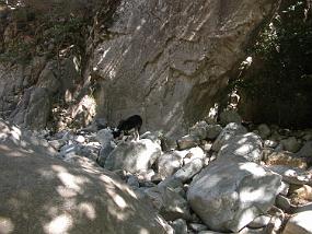DSCN0292