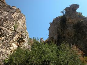 DSCN0311