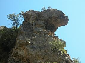 DSCN0333