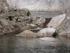 DSCN0365