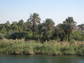 DSCN0066