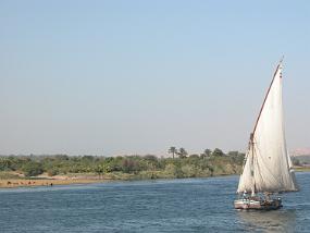 DSCN0079