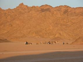 DSCN0077