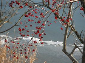 DSCN0011