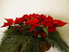 DSCN0022