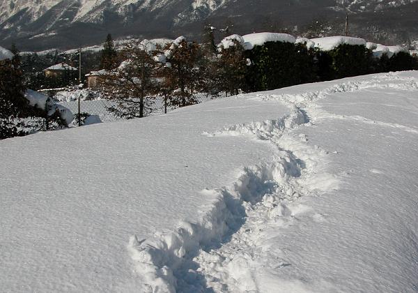 A la maison (Saturday, 01. February 2003)
