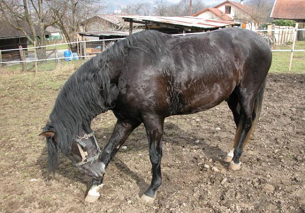 Danae und Liberal (Saturday, 01. March 2003)